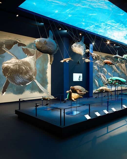 Museo della Natura e dell'Uomo di Padova